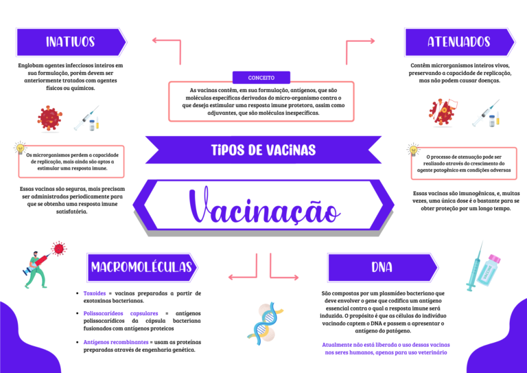 Imunologia Mapeada Mais Resumos