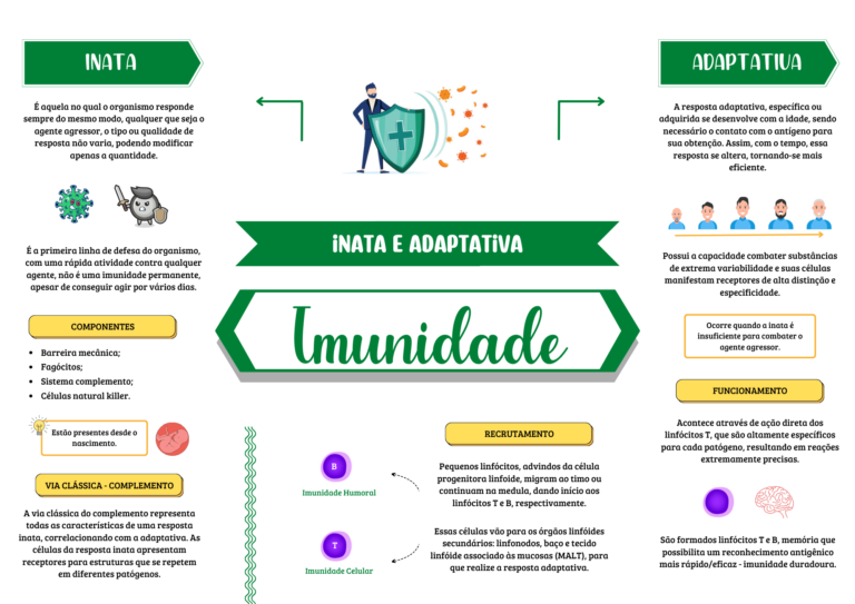 Mapa Mental Tipos Sangu Neos Imunologia