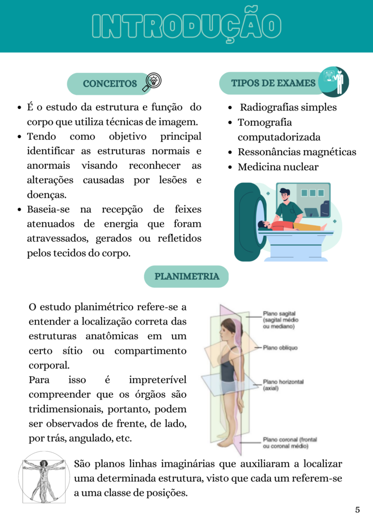 Anatomia Radiológica (1)