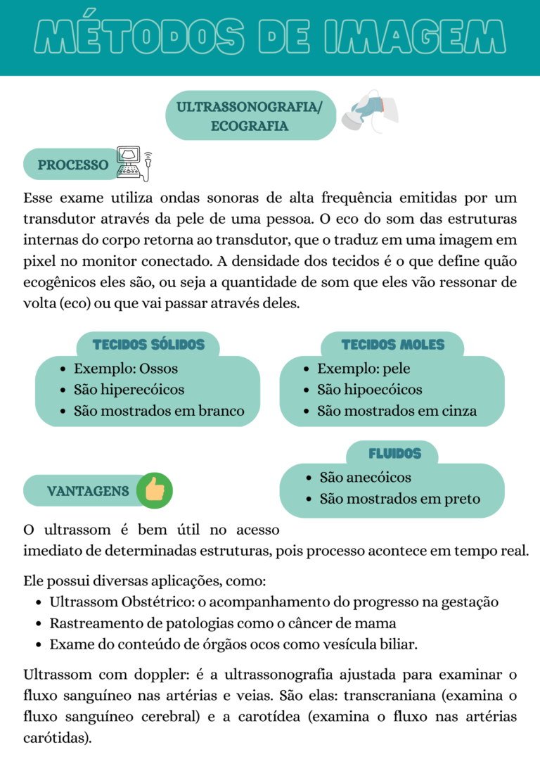 Anatomia Radiológica (2)