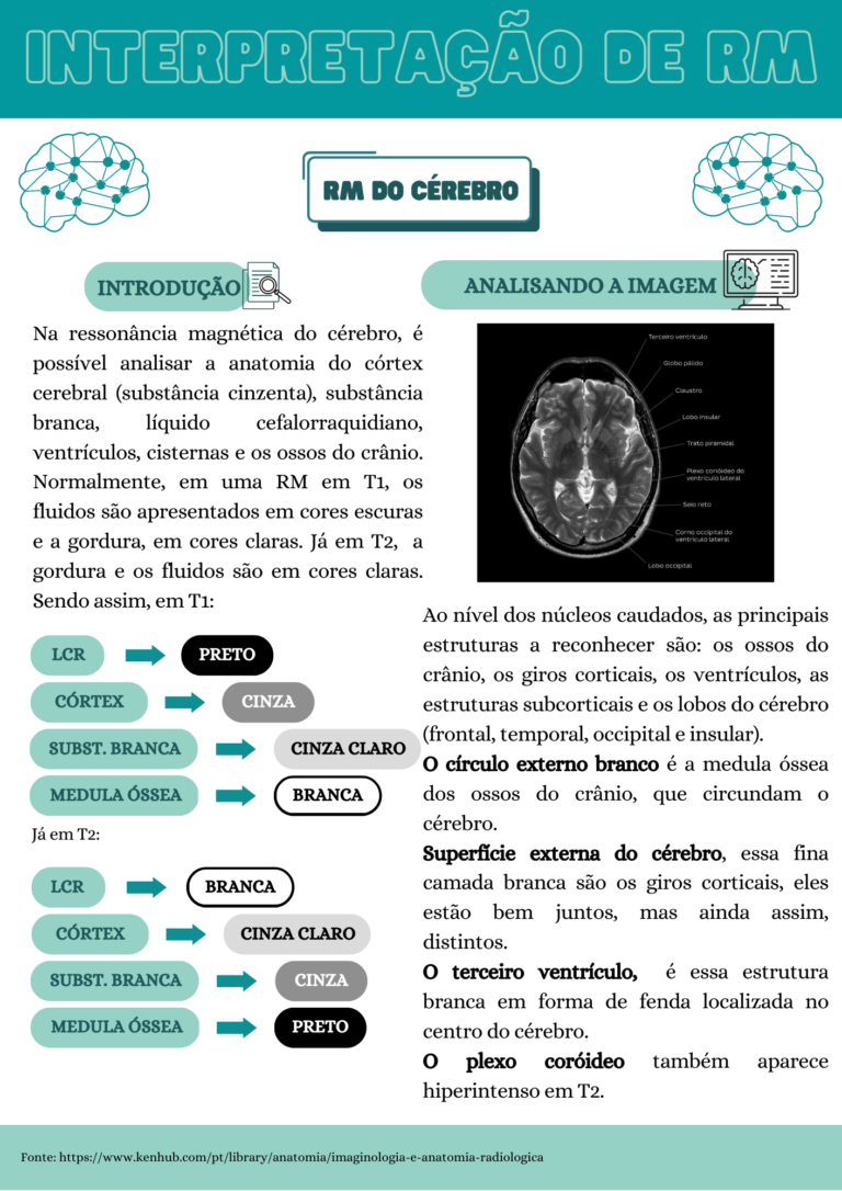 Anatomia Radiológica (7)