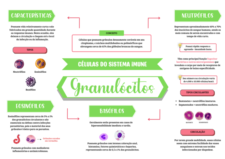 Imunologia - Mapa Mental (4)