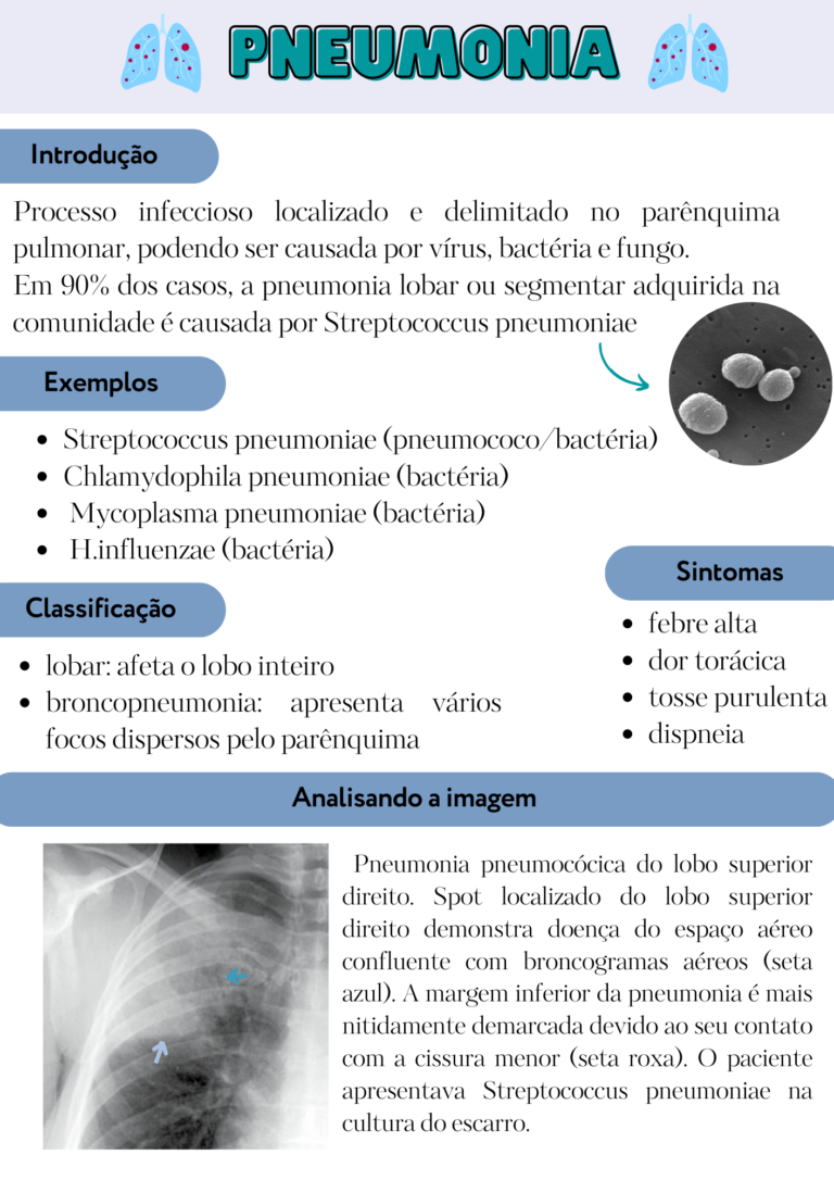 Cópia de Anatomia Radiológica (4)
