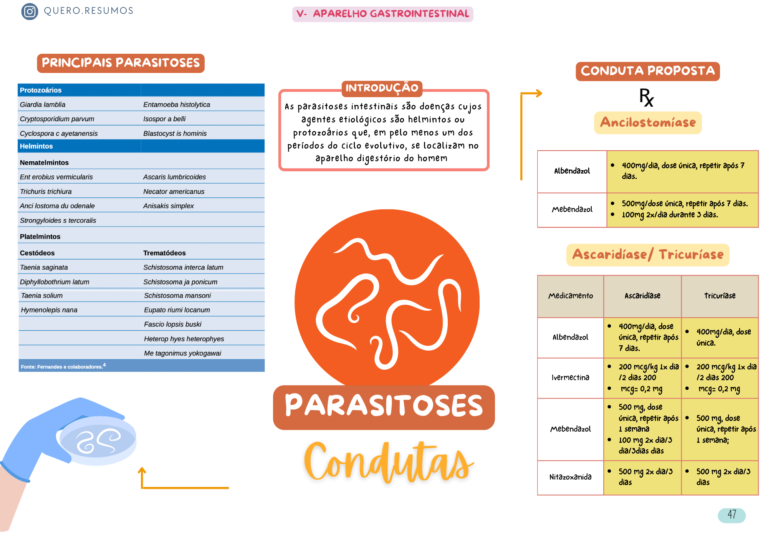 Cópia de Mapas Mentais Prescrição (8)