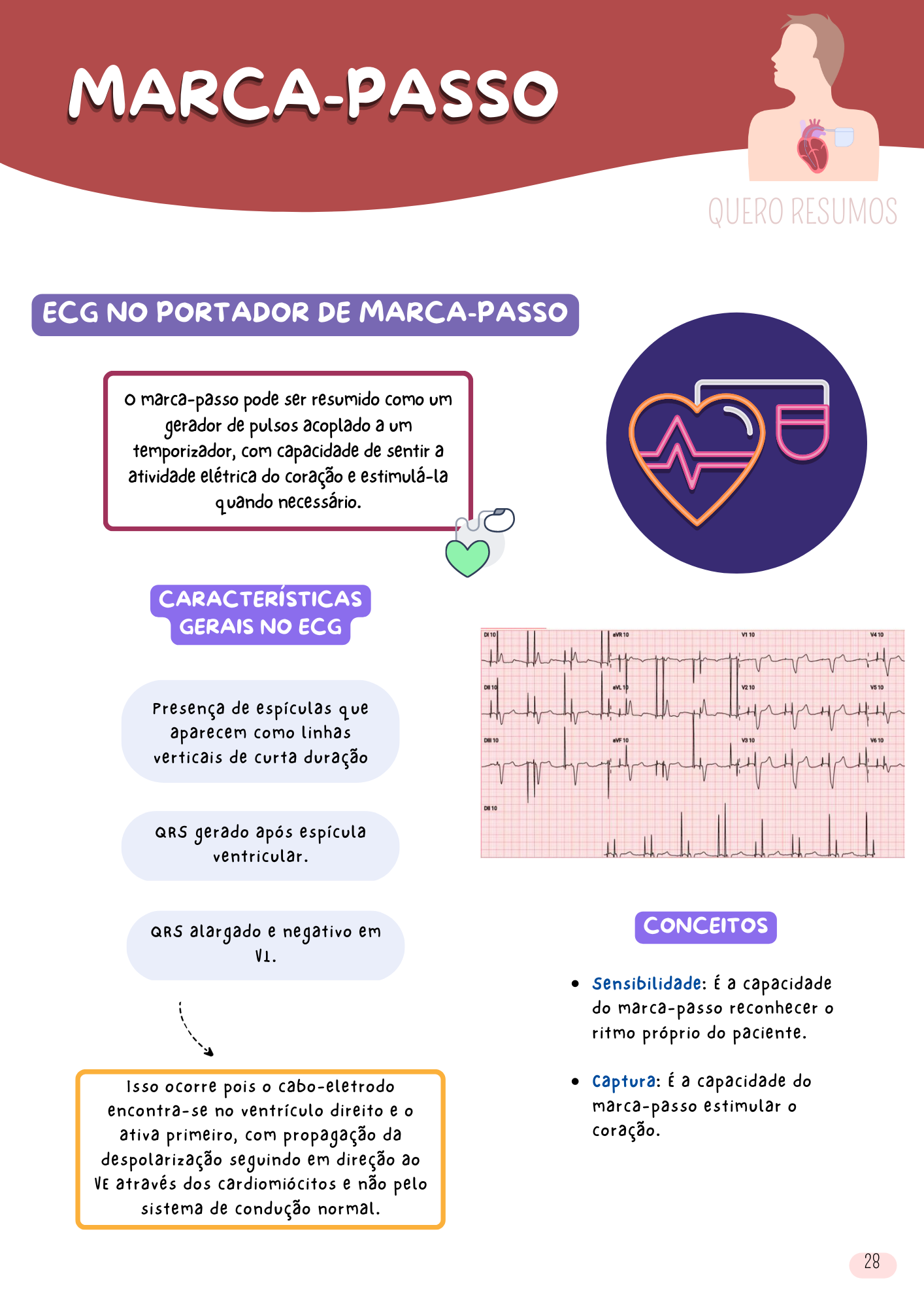 ECG (7)