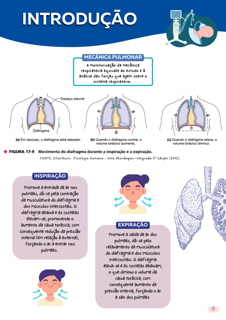 PDF) NAVA: Utilização de um novo modo de ventilação pulmonar mecânica  empediatria